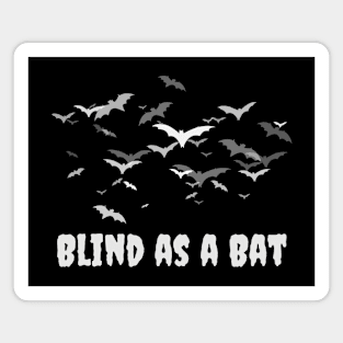 Blind As A Bat Magnet